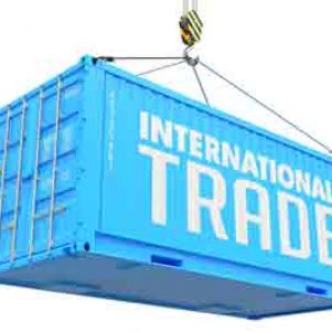 Compraventa internacional de mercaderías: examen de las mercancías y denuncia de defectos existentes