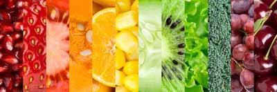 El nuevo Bioterrorismo Act de los EEUU y sus implicaciones para exportadores de alimentos
