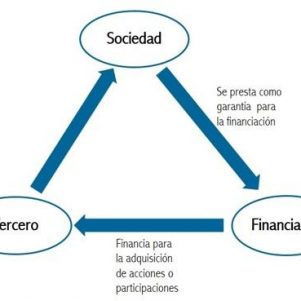 La prohibición de la asistencia financiera