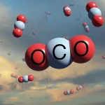15 2025 El mercado de los créditos de carbono en España